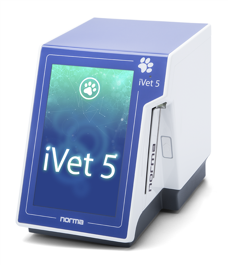splash_screen_ivet5_v3_latvany_800